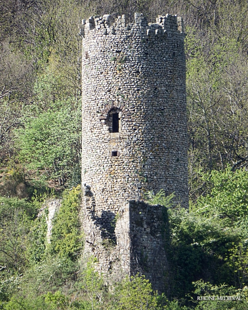7_31
